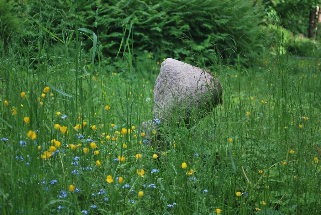 Kirjakkalan Ruukkikylae Teijo Esterno foto