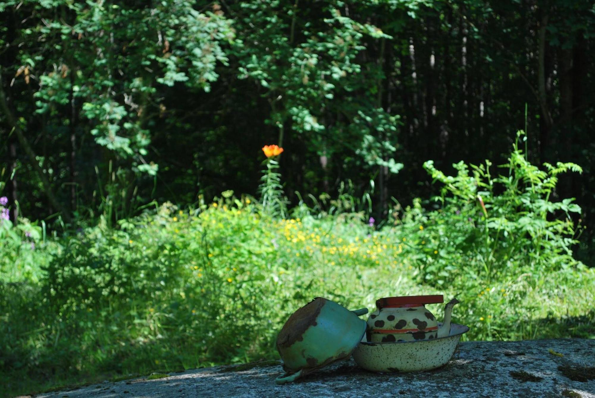 Kirjakkalan Ruukkikylae Teijo Camera foto