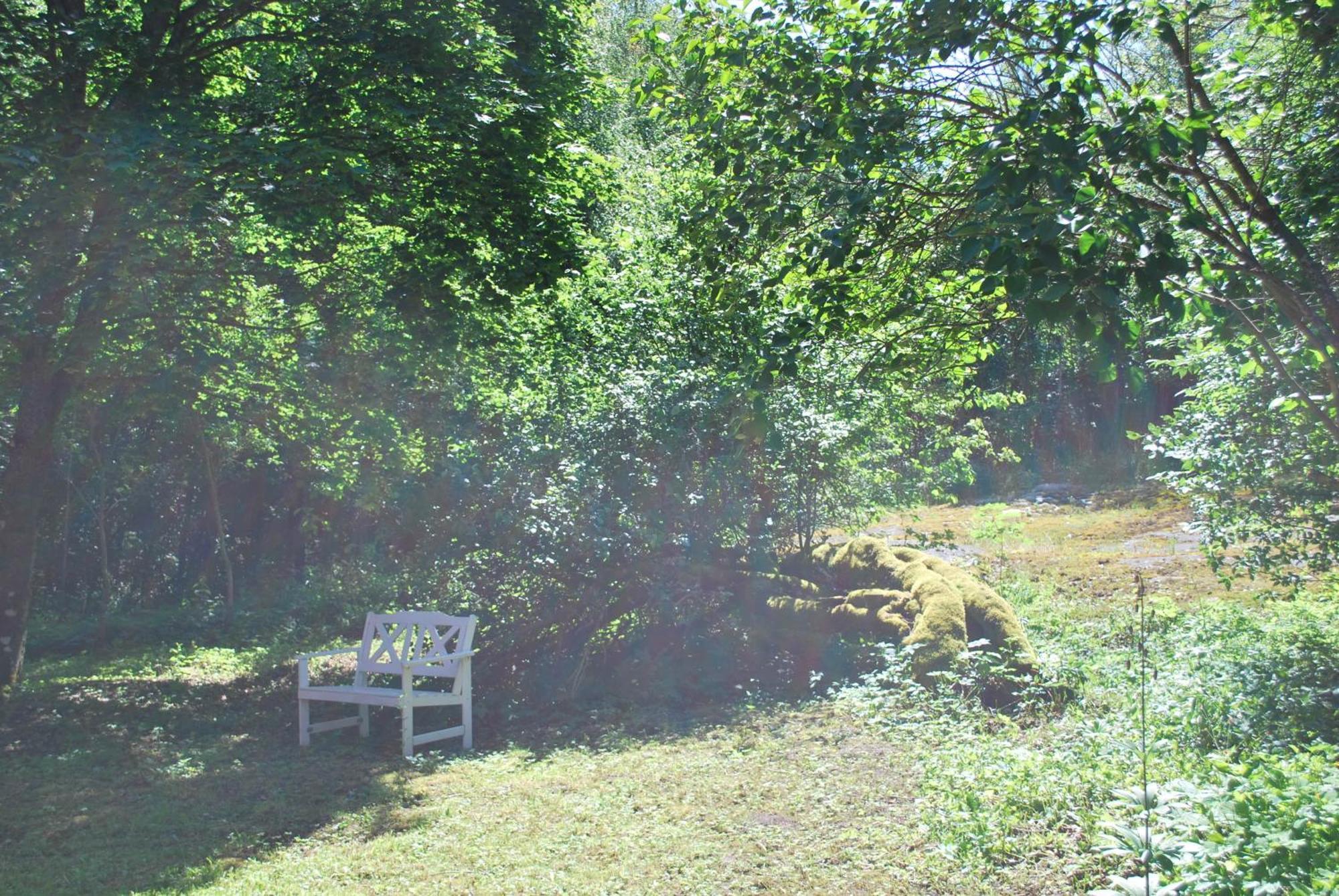 Kirjakkalan Ruukkikylae Teijo Camera foto