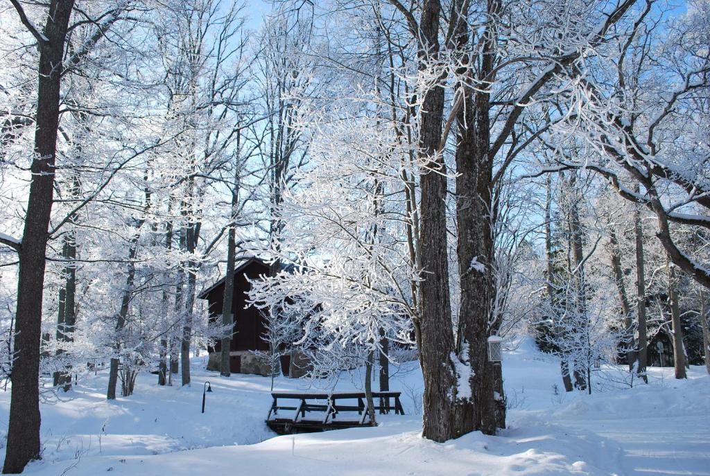 Kirjakkalan Ruukkikylae Teijo Esterno foto