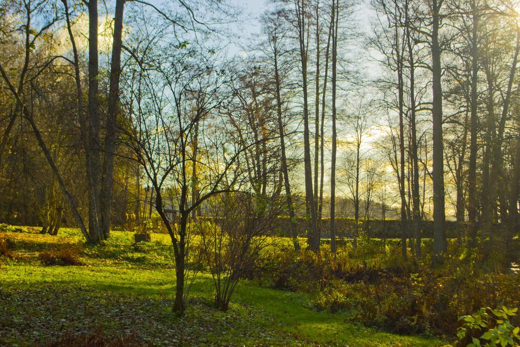 Kirjakkalan Ruukkikylae Teijo Esterno foto
